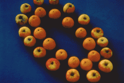 Jean-Luc Moulène - 07.11.1996 (pommes-oranges)