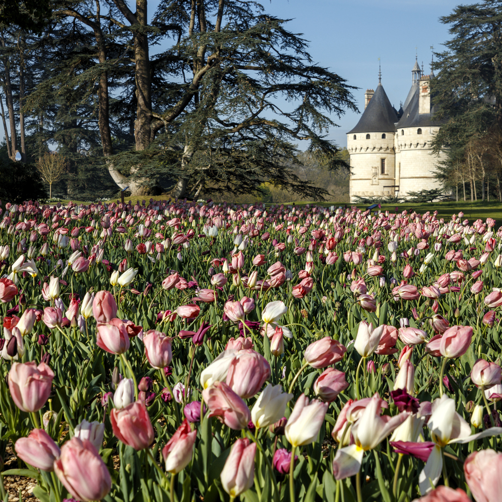 chaumont_2026